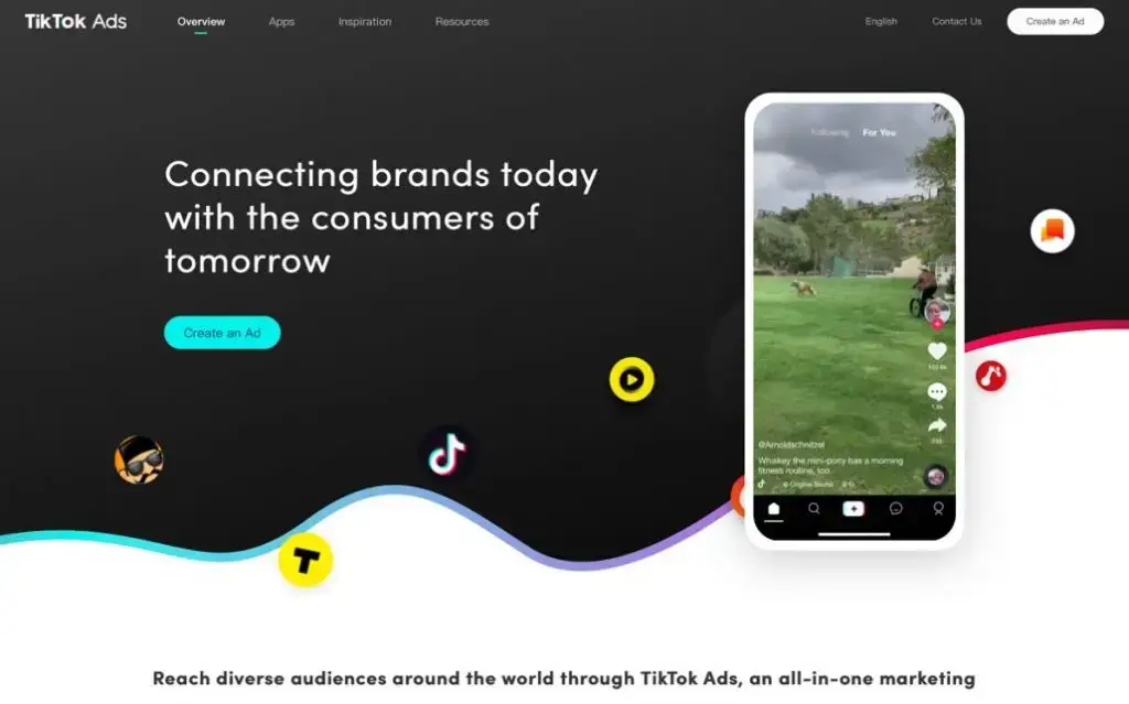 tiktok ads