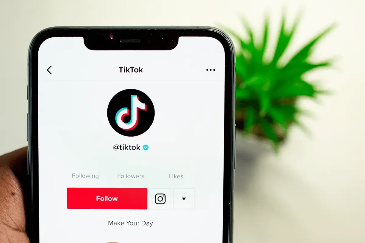 come fare tanti follower su TikTok